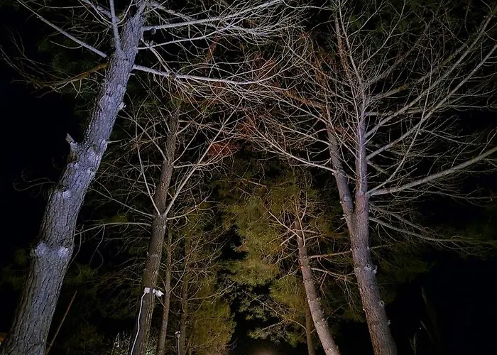 Alexandra 12 Daire Lefkimmi (Corfu)