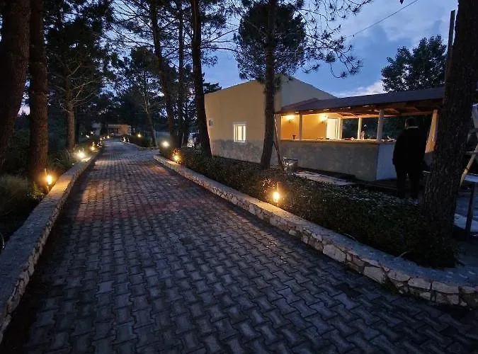 Alexandra 12 * לפקימי